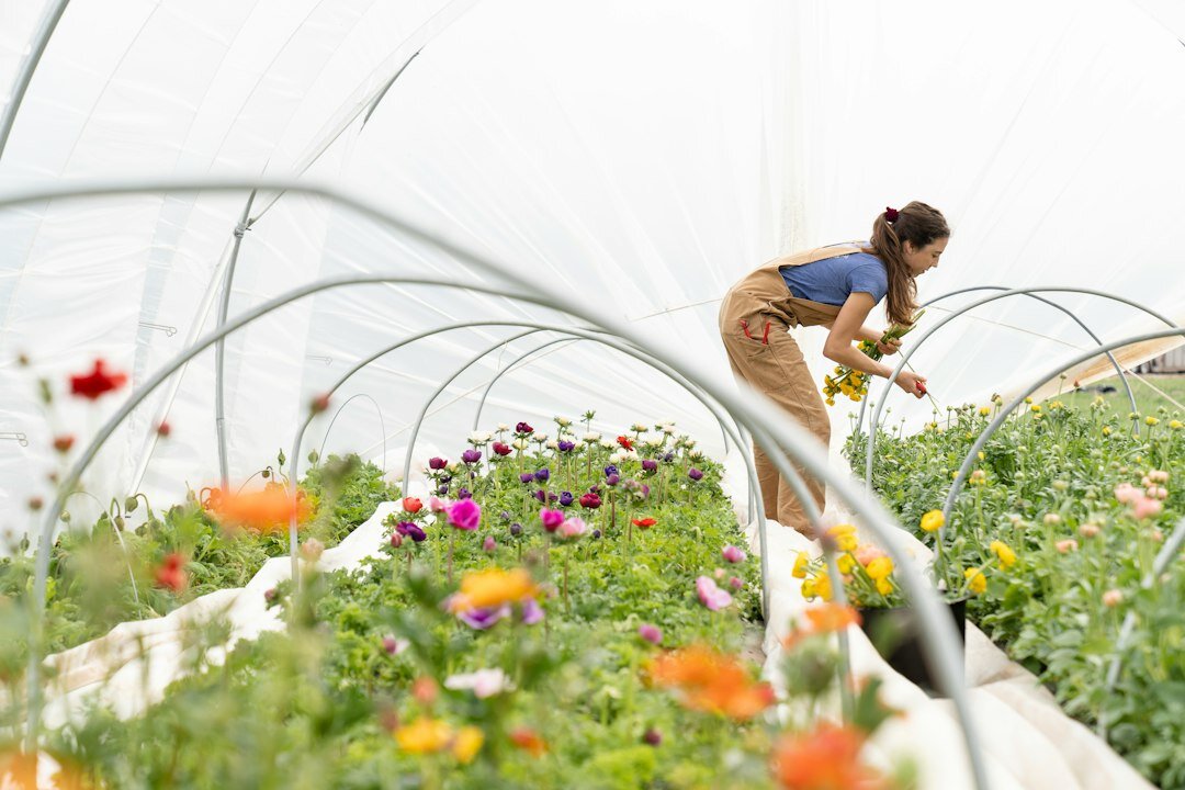 woman on organic farm